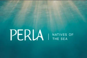 قرية بيرلا الساحل الشمالي Perla North Coast أسعار 2026