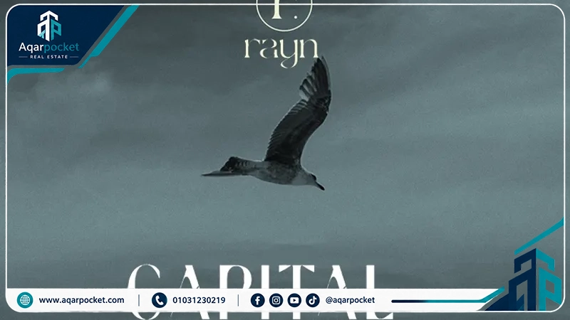 كابيتال سكوير مول العاصمة الإدارية 2026 Capital Square Mall New Capital 3 المحلات والوحدات التجارية داخل كابيتال سكوير مول العاصمة الإدارية